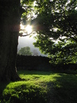 SX22179 Sunset over wall and trees by Langdale Campsite, Lake District.jpg